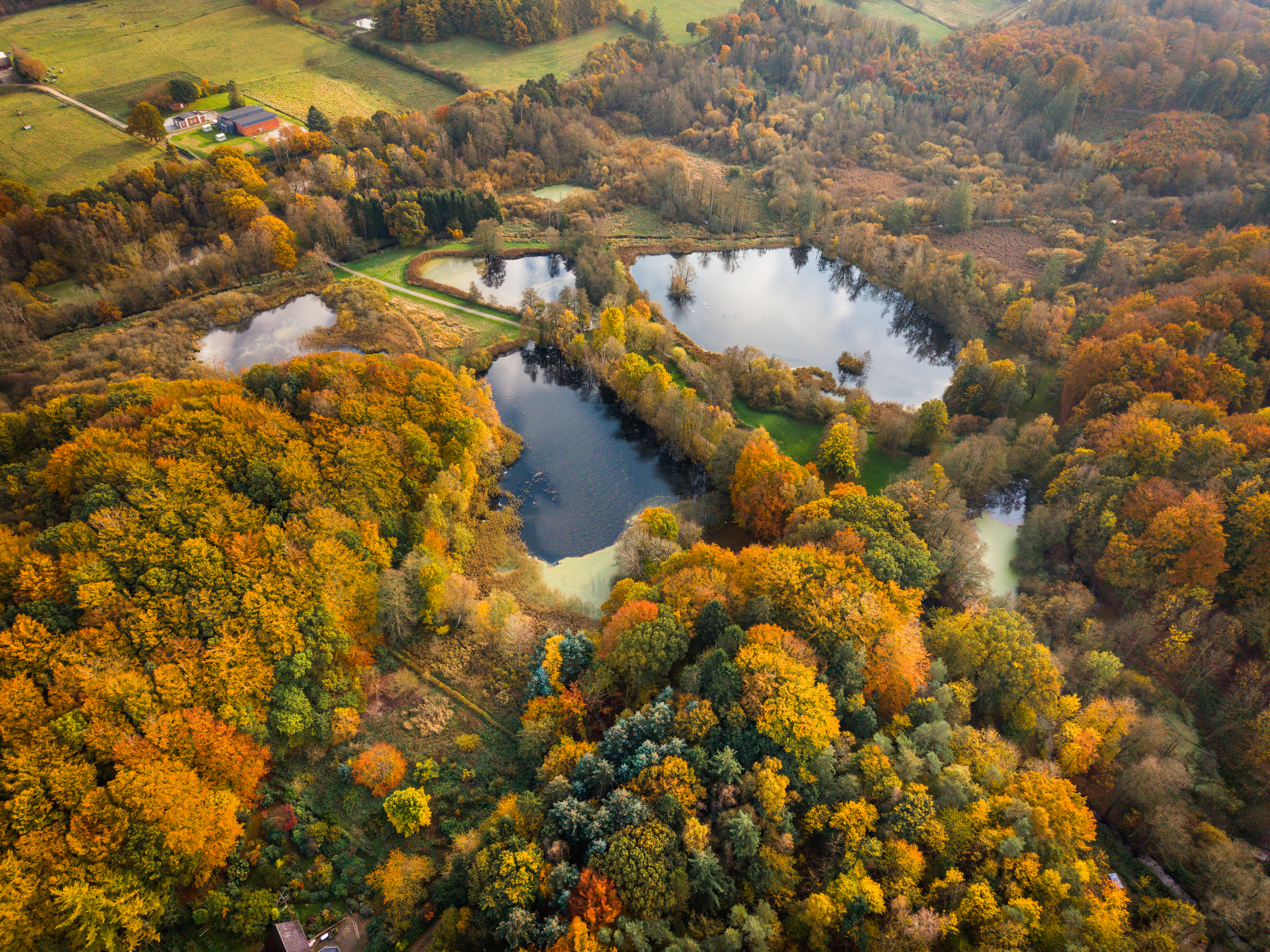  Elbodalen om efteråret