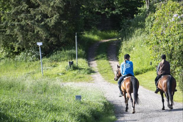 Ryttere til hest